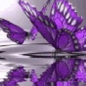 Meet your Posher, Sheila